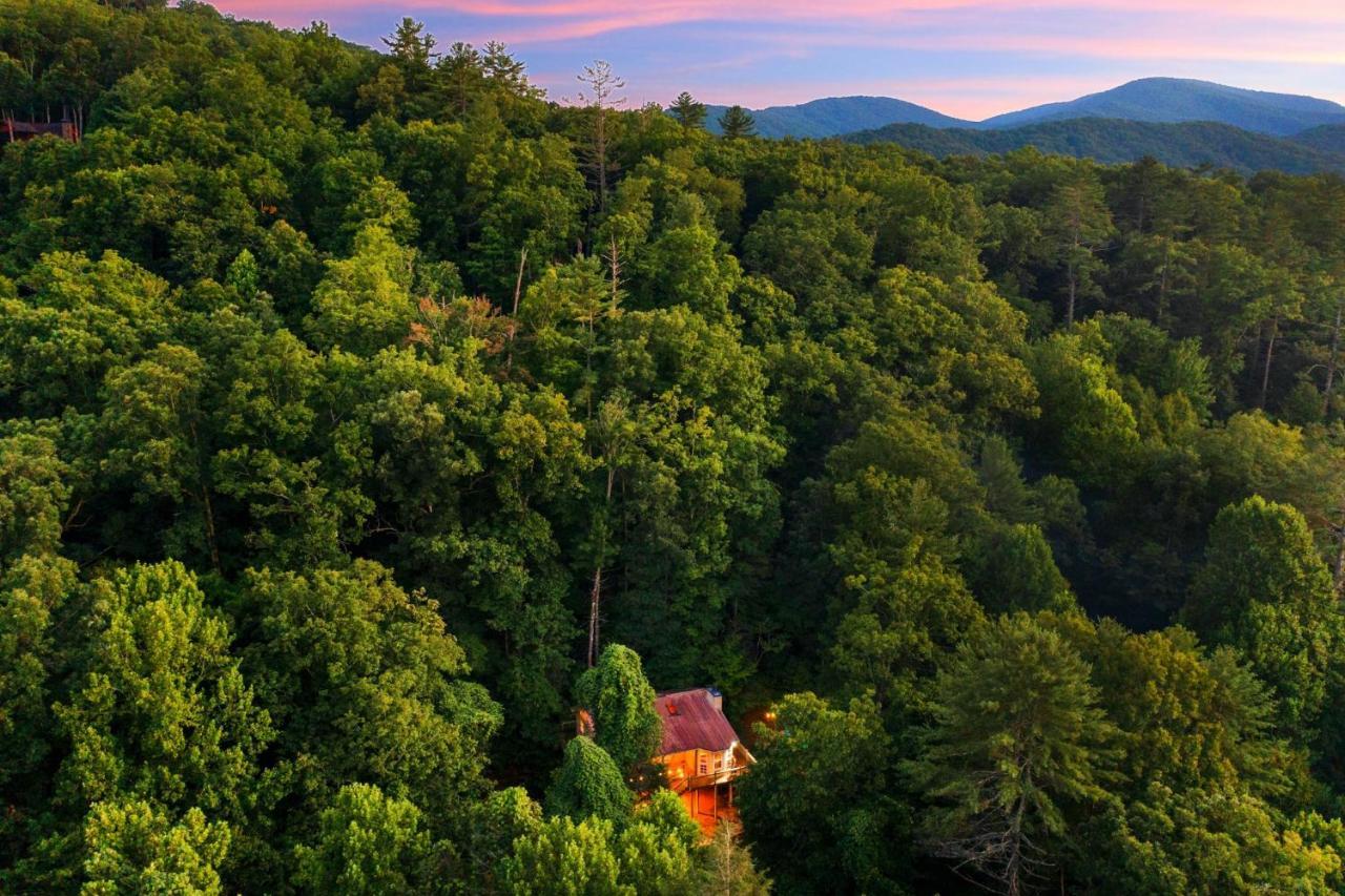 Cozy Cabin Retreat - Hot Tub, Fireplace & Fire Pit Blue Ridge Exteriör bild